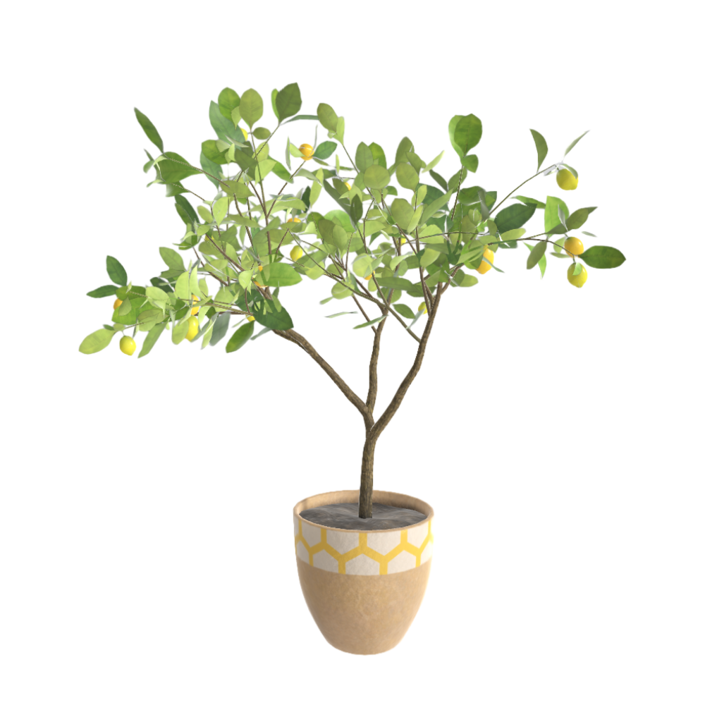 柠檬树3D模型植物AR模型模型预览图