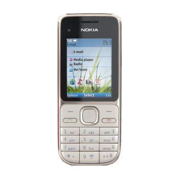 Nokia诺基亚 C2-01（银色）