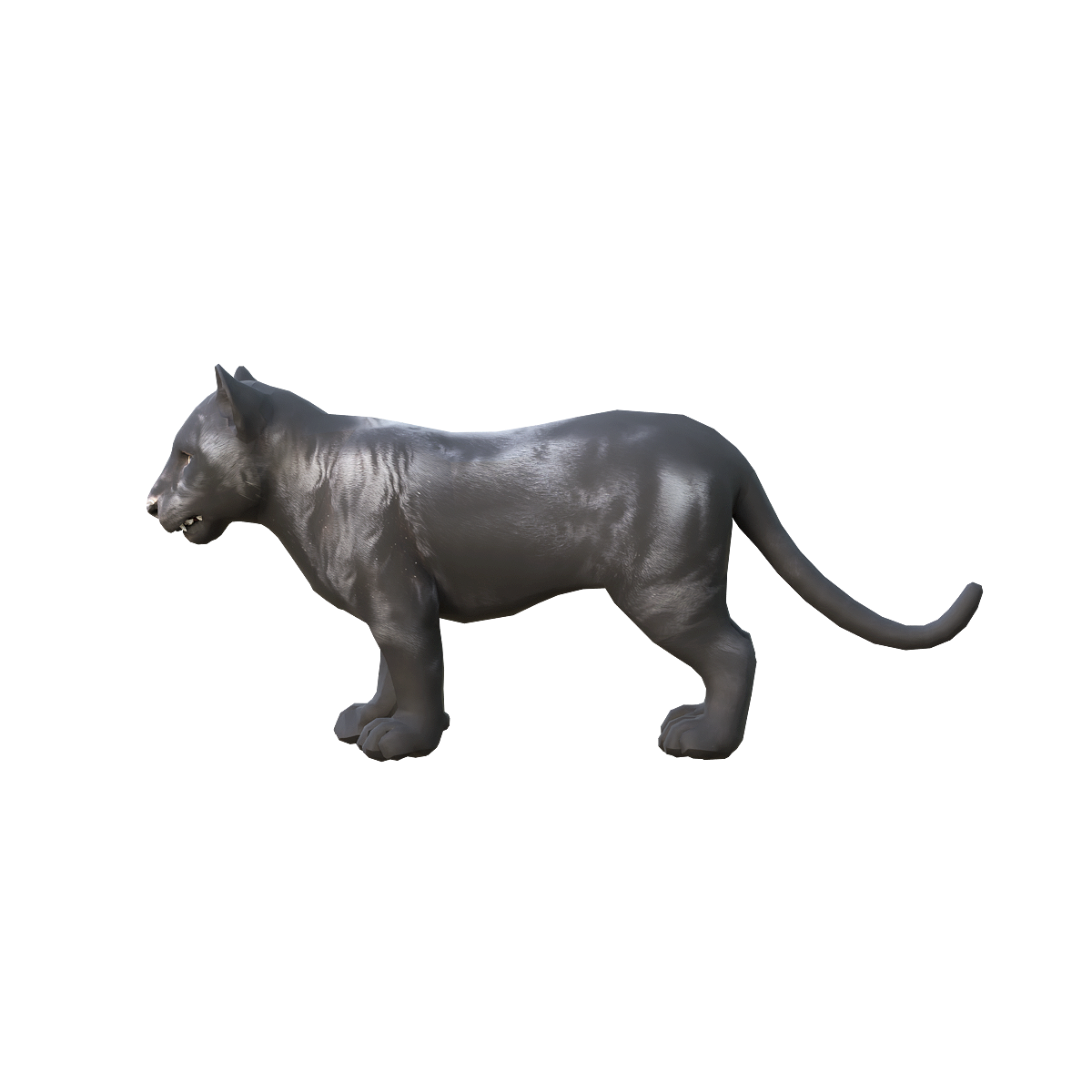 黑豹幼崽（带3D动画模型）模型预览图