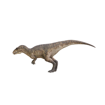 南方巨兽龙3D模型动画