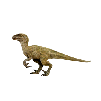 迅猛龙3D动画模型