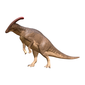 副栉龙（3D动画模型）