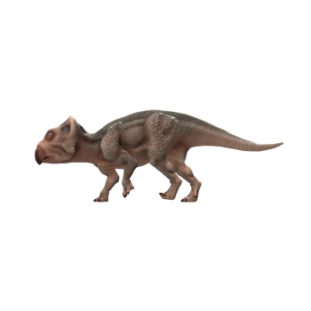 纤角龙（3D动画模型）