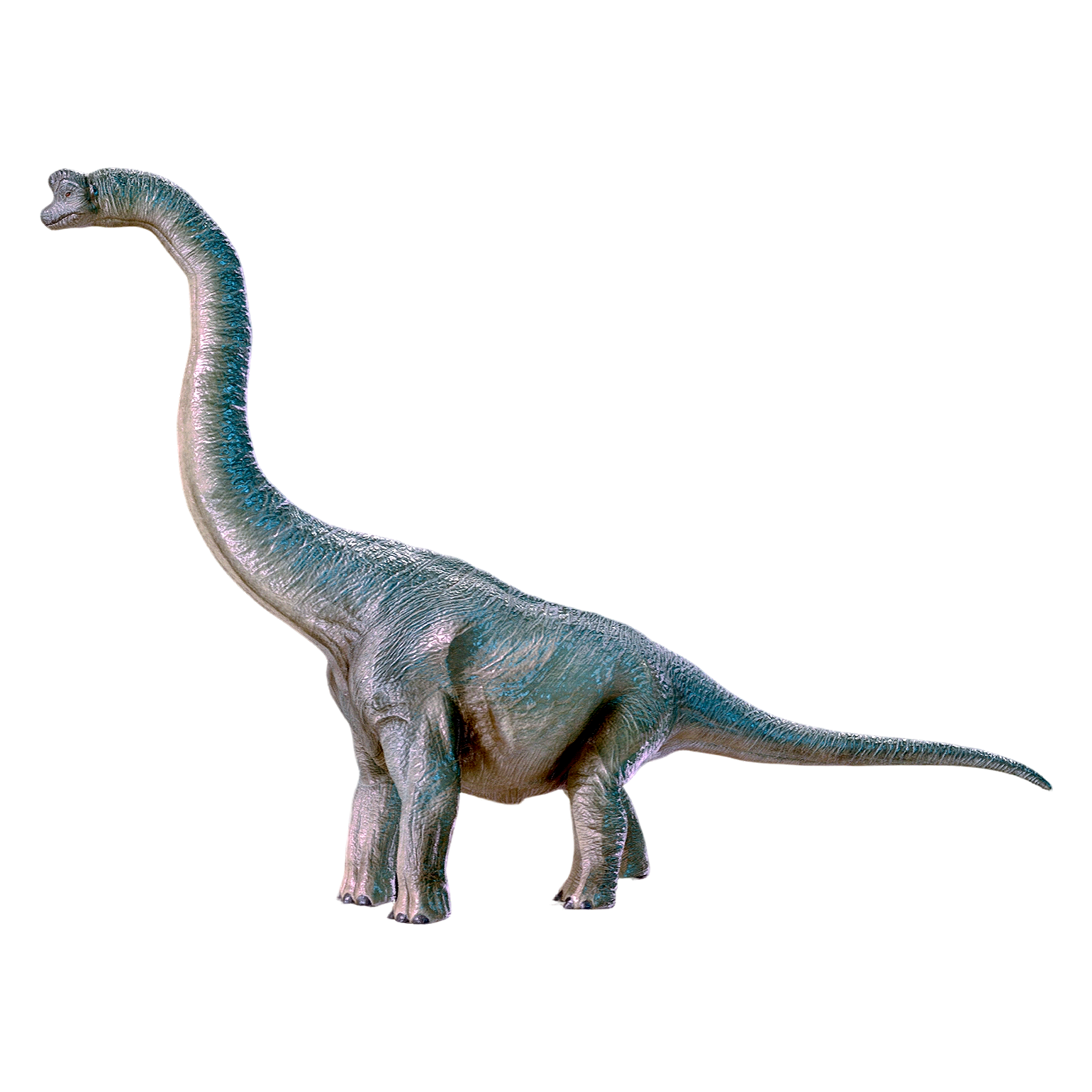 腕龙（3D动画模型）模型预览图