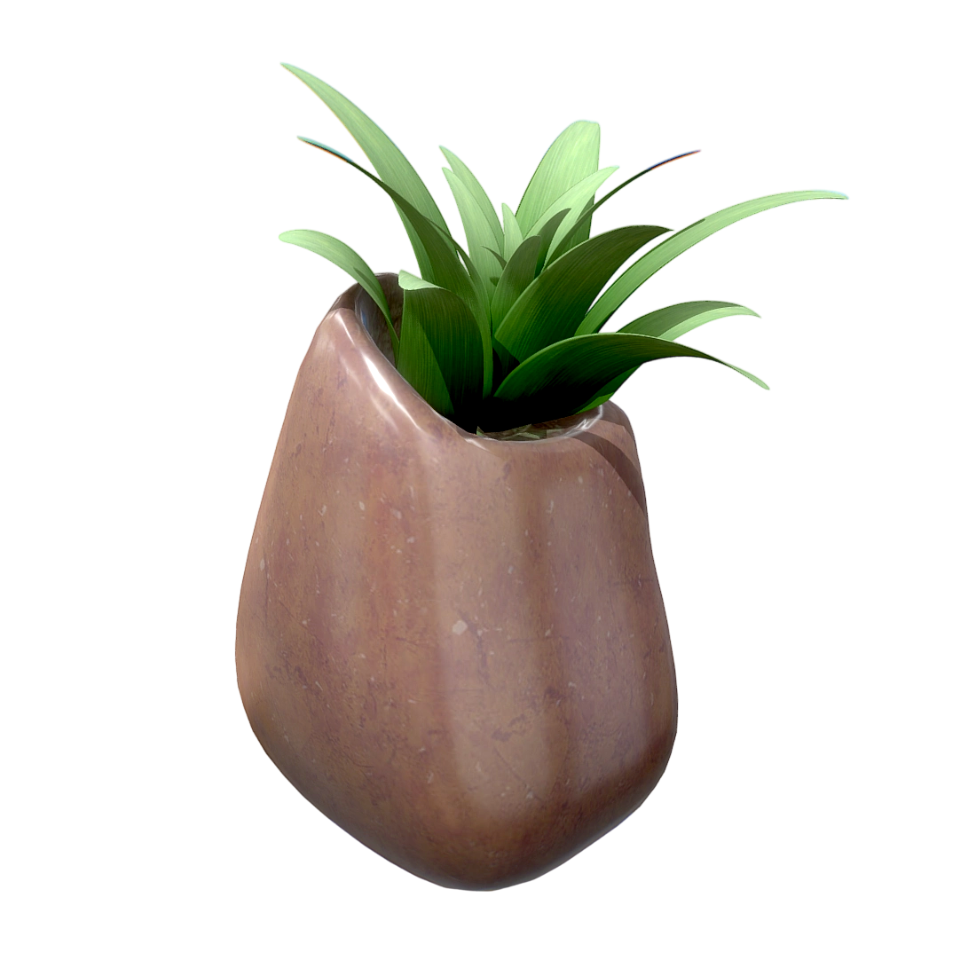 丝兰盆栽植物模型预览图