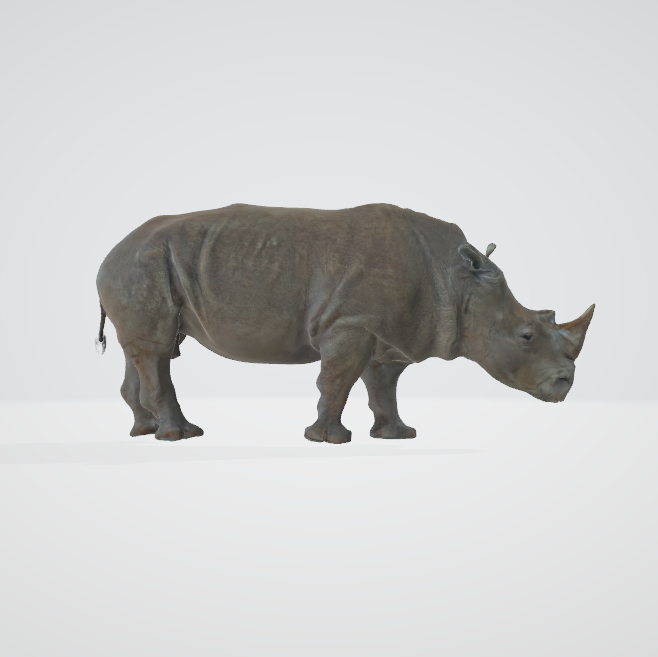 犀牛动画3D模型AR犀牛模型预览图