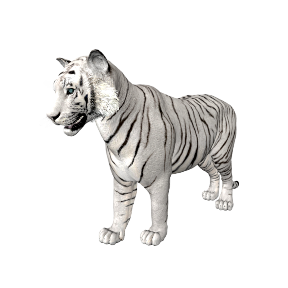 动物园写实凶猛白虎3D模型模型预览图