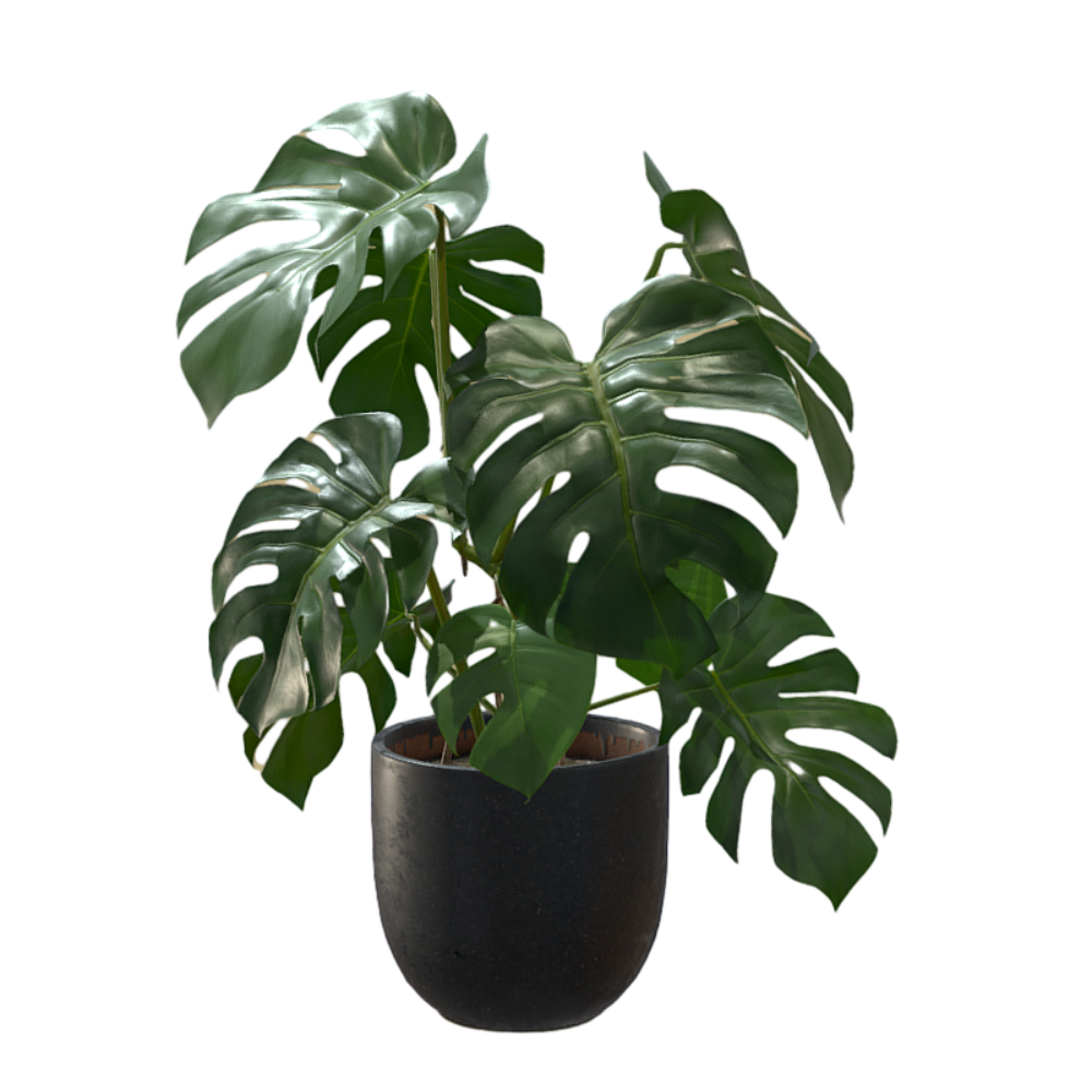 龟背竹景观装饰植物3D盆栽模型模型预览图