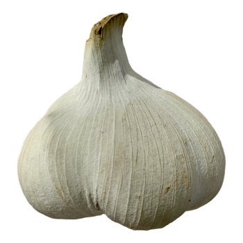 大蒜